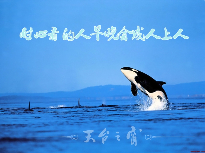 耐心.jpg