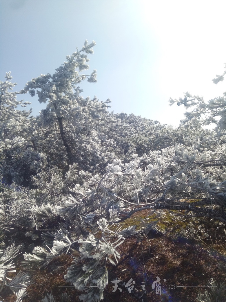 IMG20180109114336_调整大小.jpg