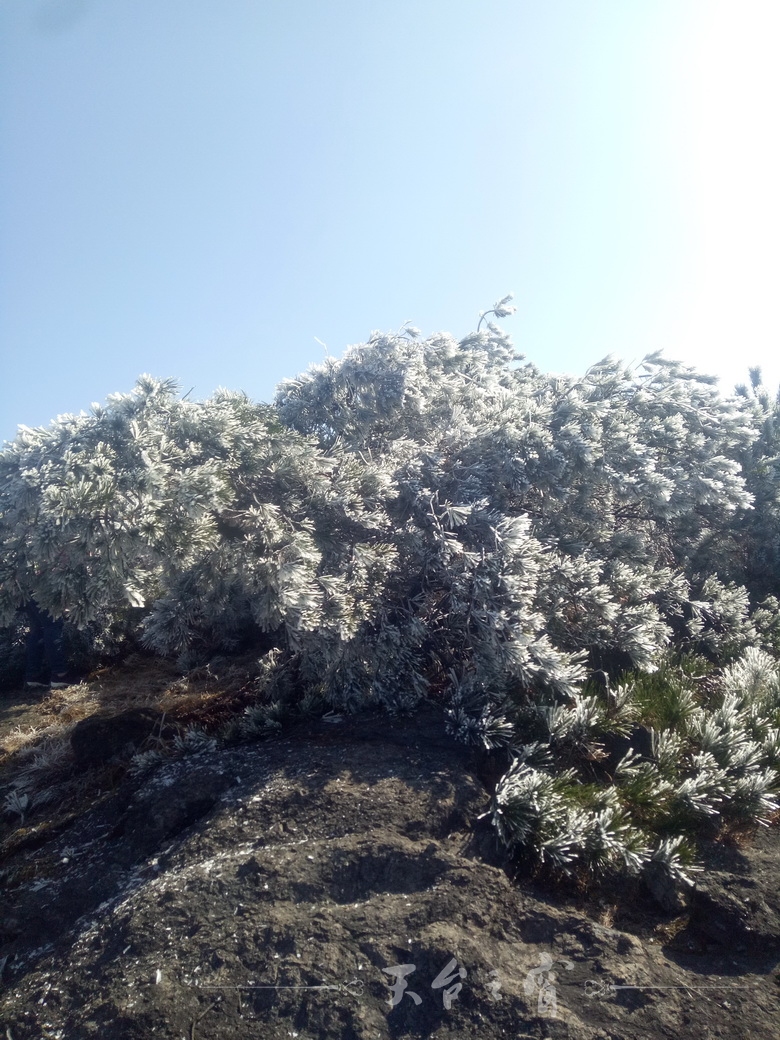 IMG20180109114856_调整大小.jpg