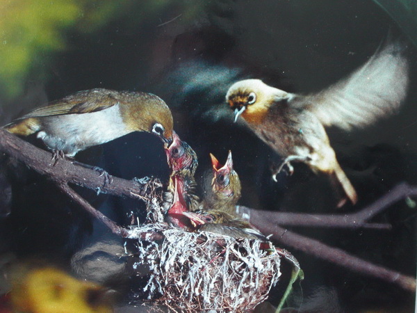 PICT0139.jpg