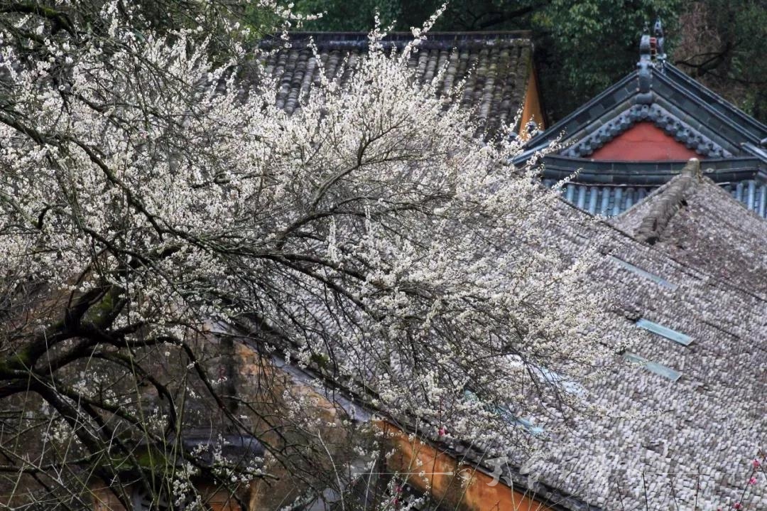 微信图片_20180223093306.jpg