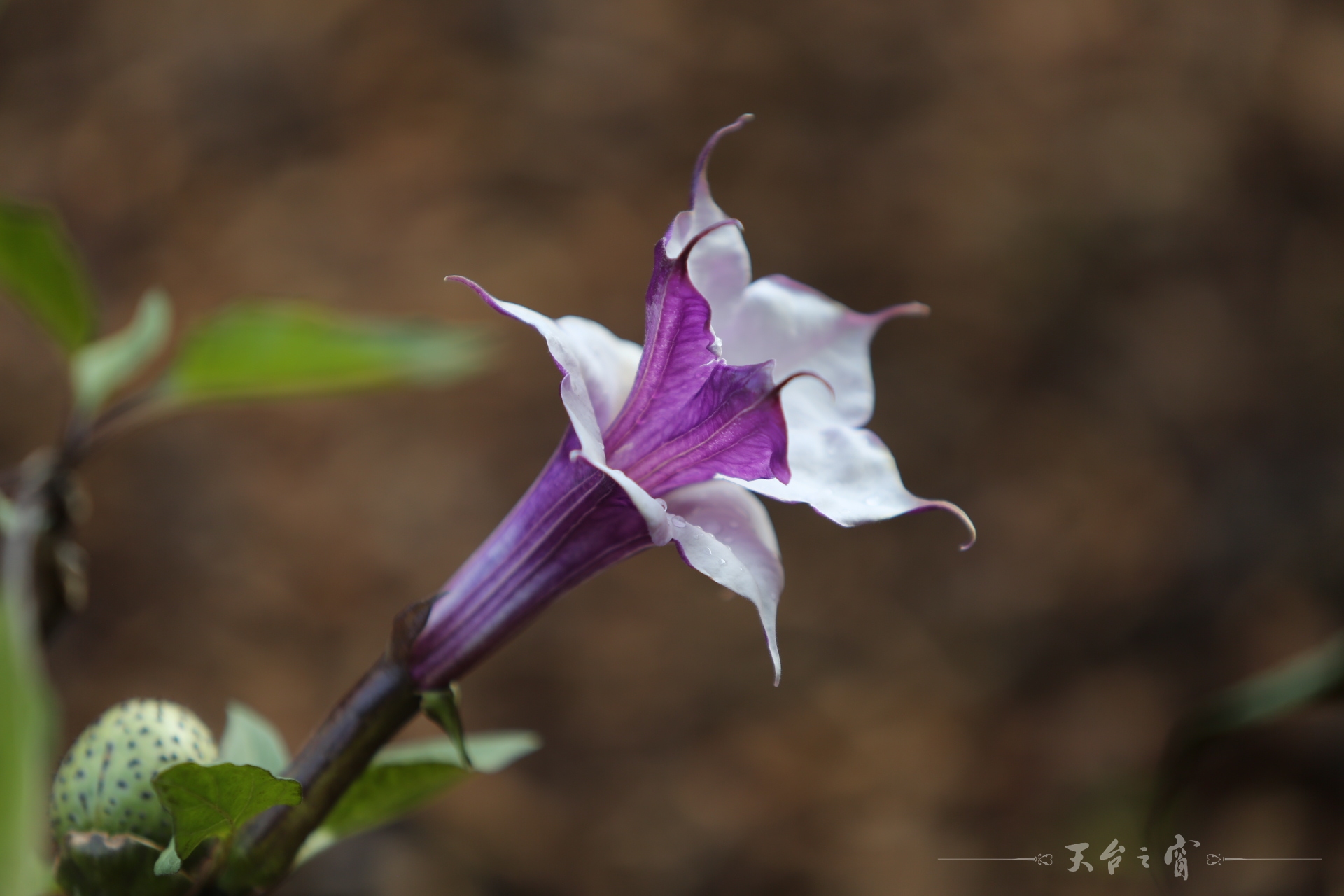 125A6586.JPG