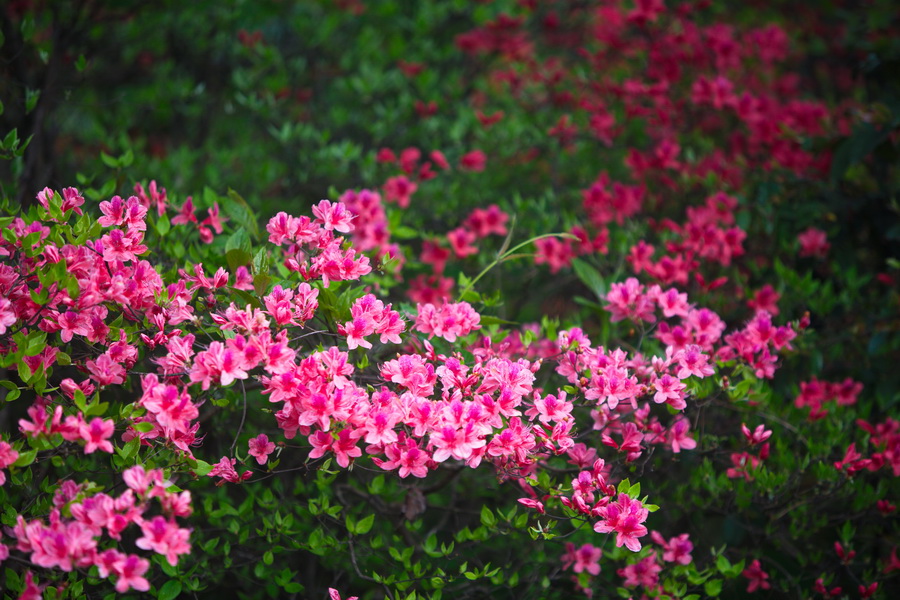 125A7754_调整大小.jpg