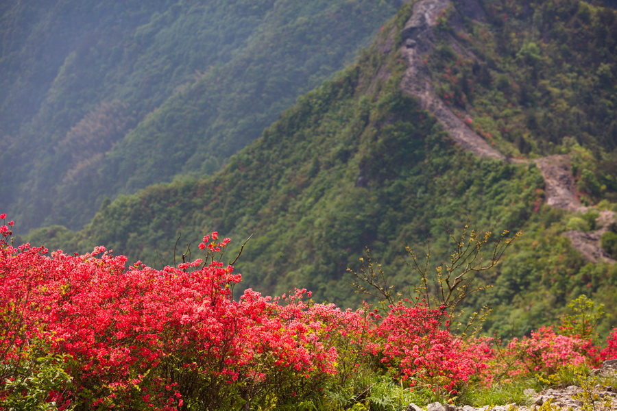 125A7875_调整大小.jpg