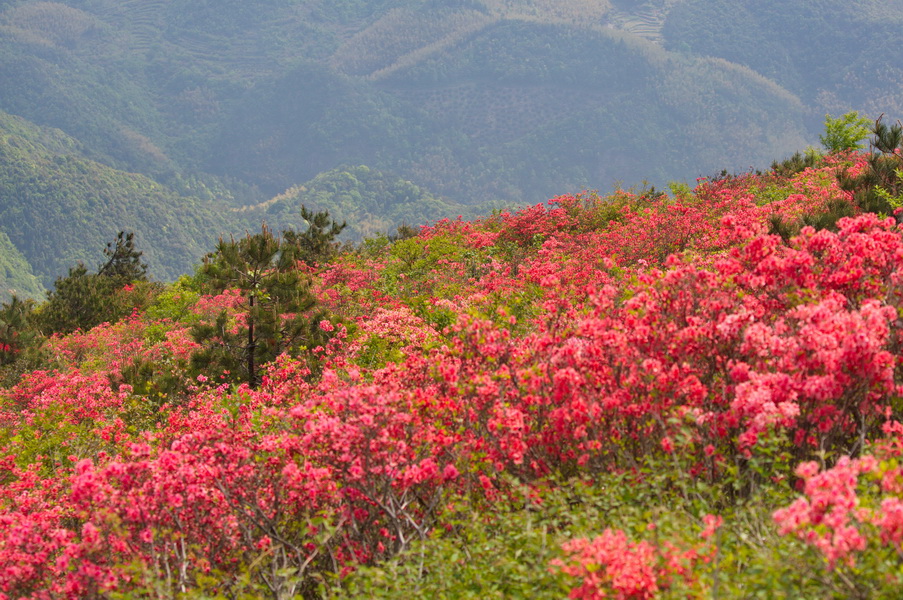 125A7887_调整大小.jpg