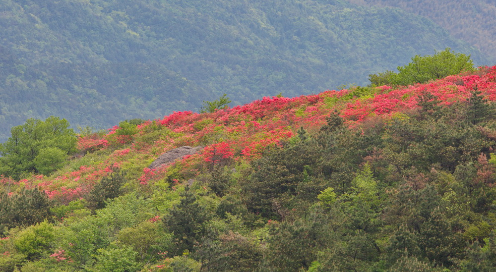 125A7936_调整大小.jpg