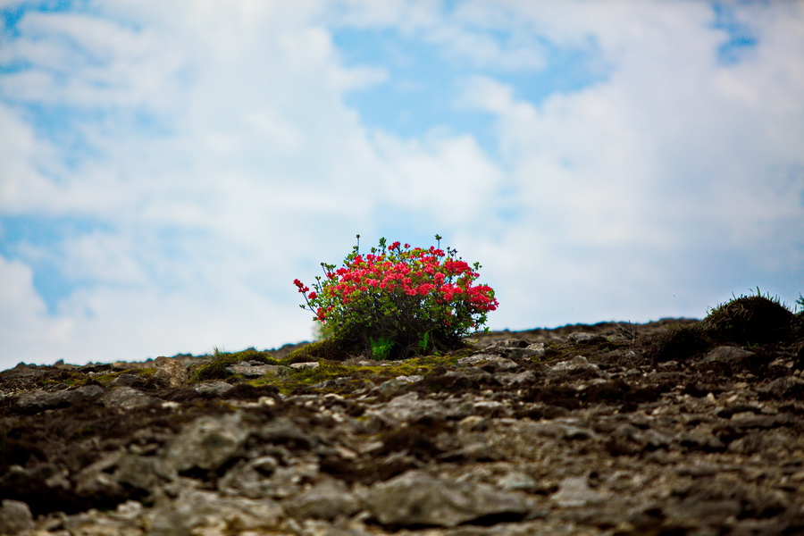 125A7951_调整大小.jpg