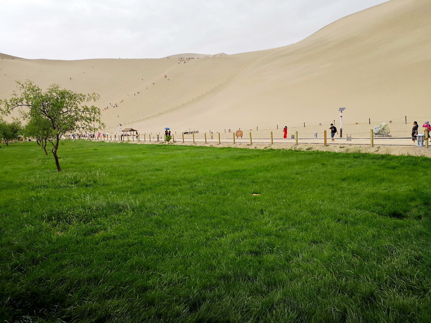 IMG_20180719_151717-0_调整大小.jpg