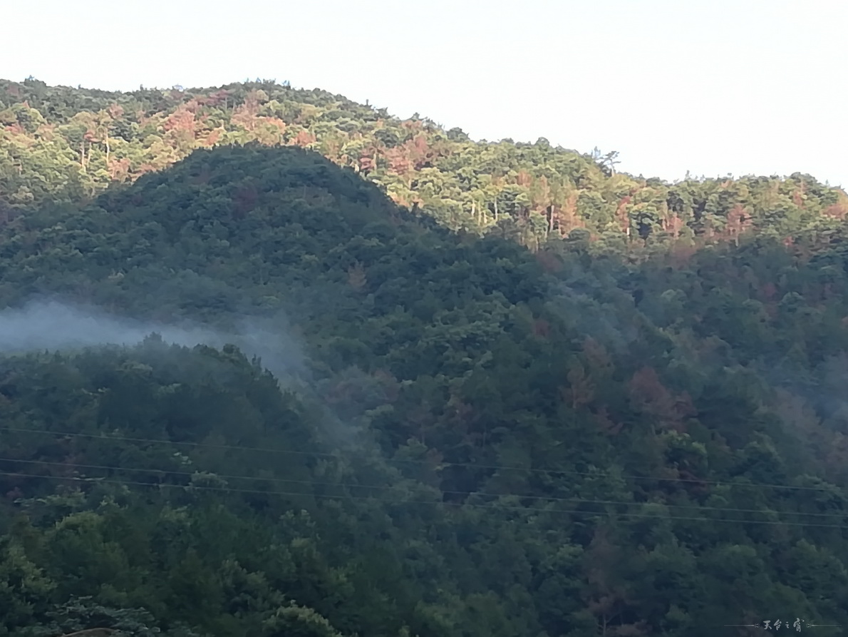 IMG_20180910_064100.jpg
