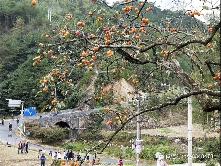 微信图片_20181015104456.jpg