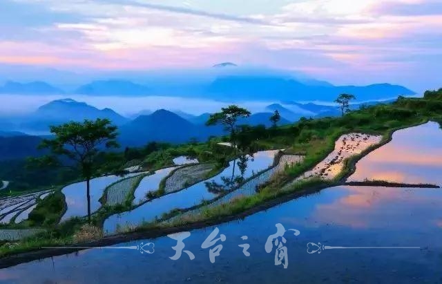 1539743865315_5bc6a079159bb801832c0c9e.jpeg 1539743865315_5bc6a079159bb801832c0c9e.jpeg