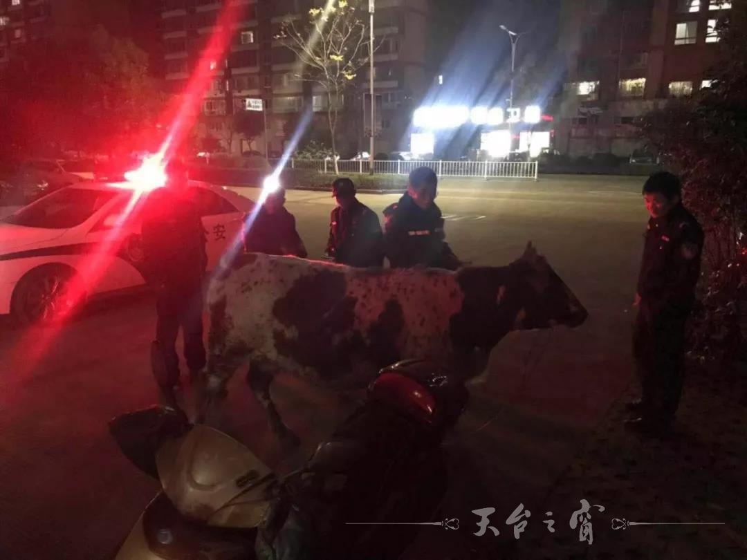 微信图片_20190108091258.jpg
