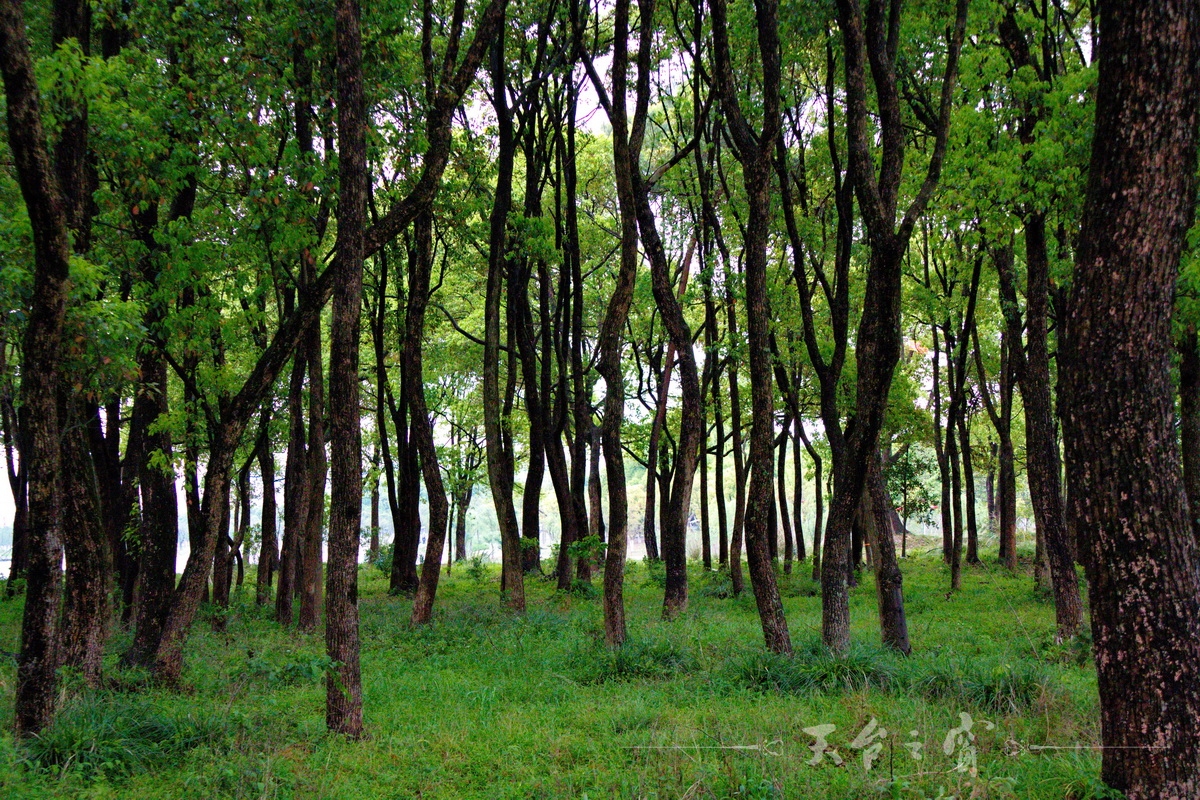 IMG_0273_调整大小.jpg