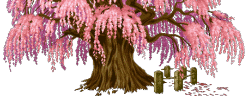 UYeihNQa.gif