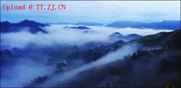 云雾满山飘