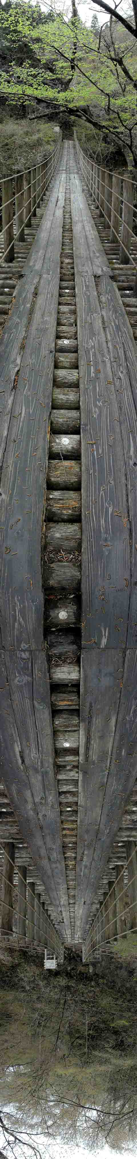 一张看了就会晕的图片