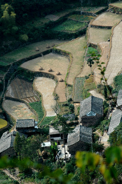 高明寺外拍＜影像天台＞２００４－１０－２３