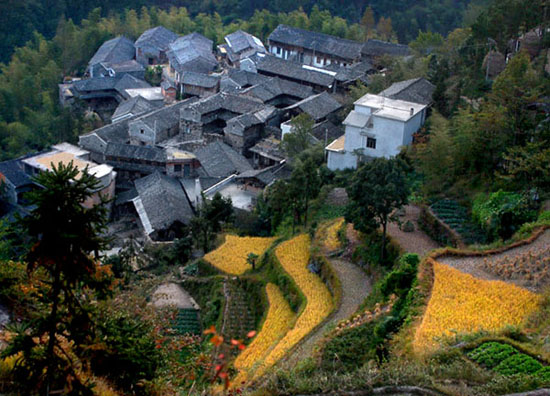 天台山村----《影像天台》摄影沙龙作品