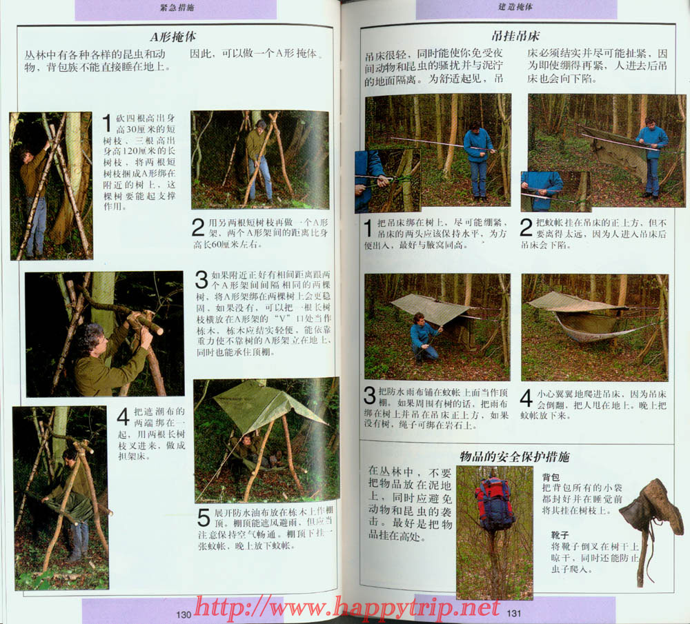 分享