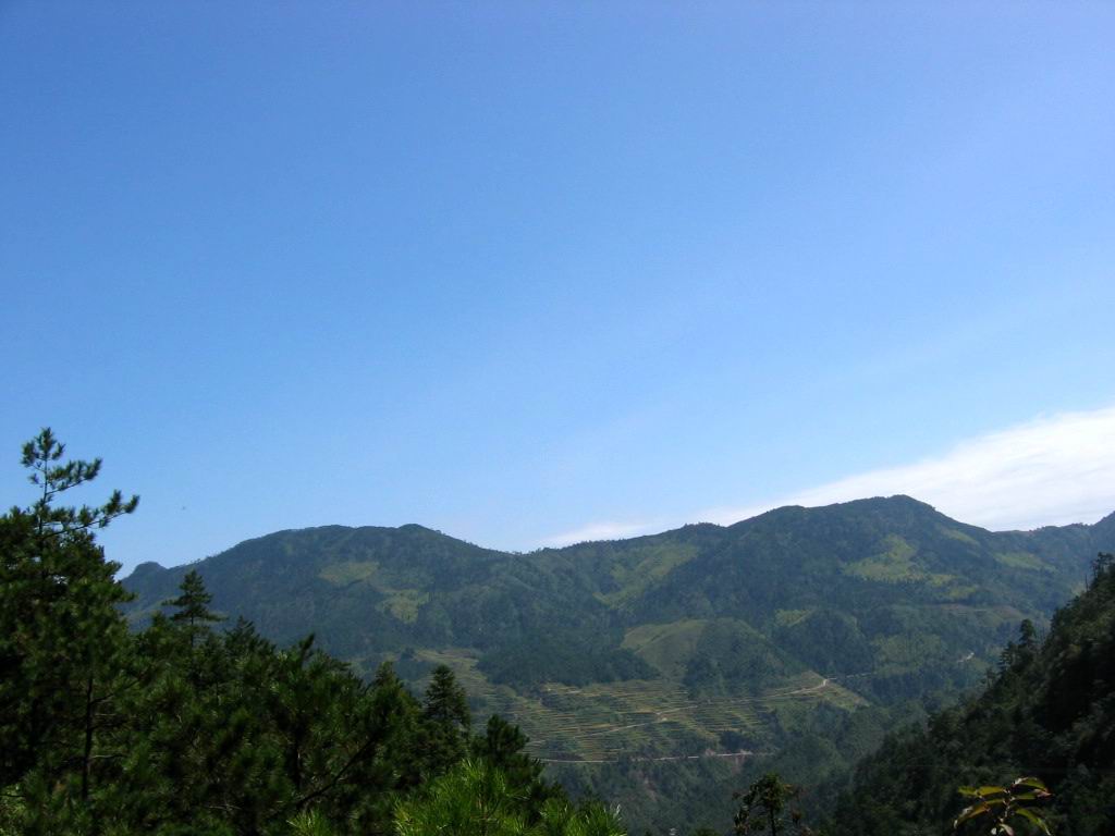 百山祖---黄茅尖凳顶穿越之PP