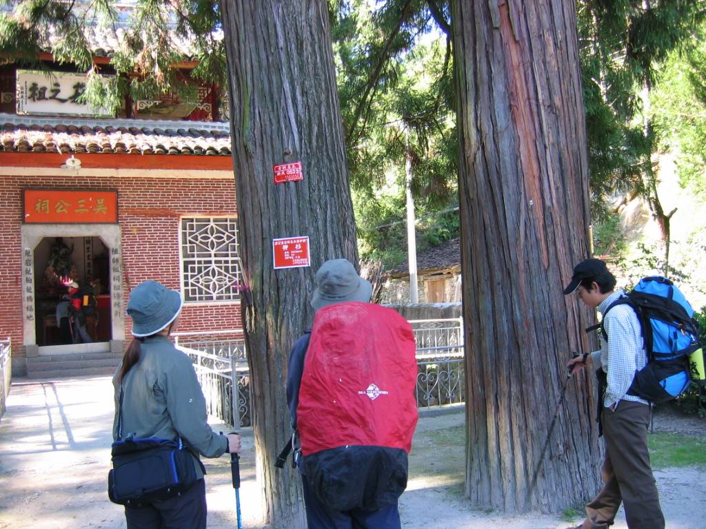 百山祖---黄茅尖凳顶穿越之PP
