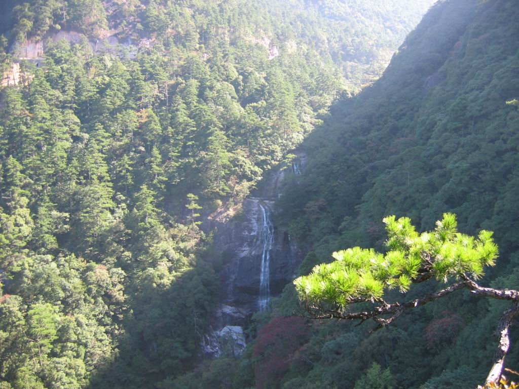 百山祖---黄茅尖登顶穿越之PP