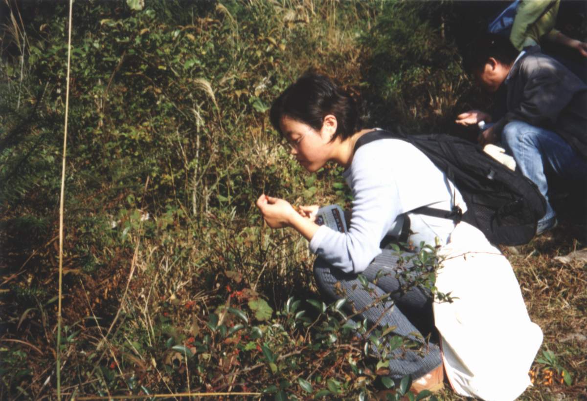 华顶之行随感