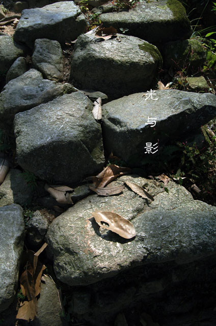 对于王利民的建议
