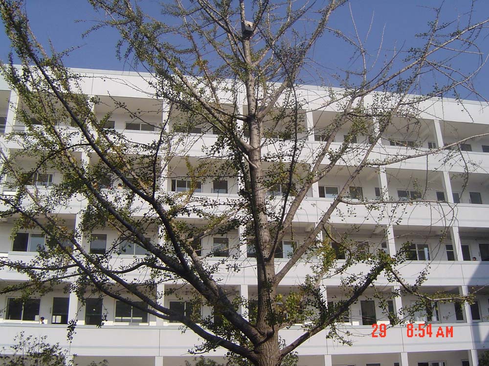 天中校园风采