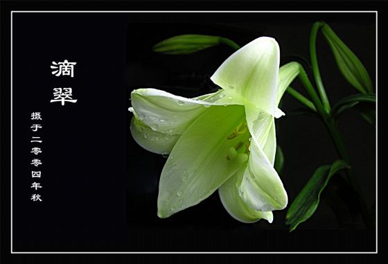 [分享]微距离的世界