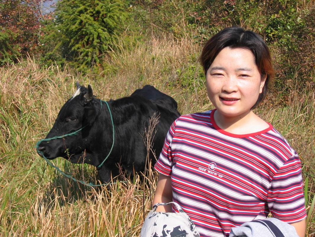 翠屏古寺探址