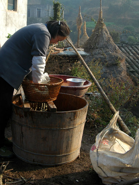 影像天台摄影网（还未开通广告先做）---天台农村采风作品