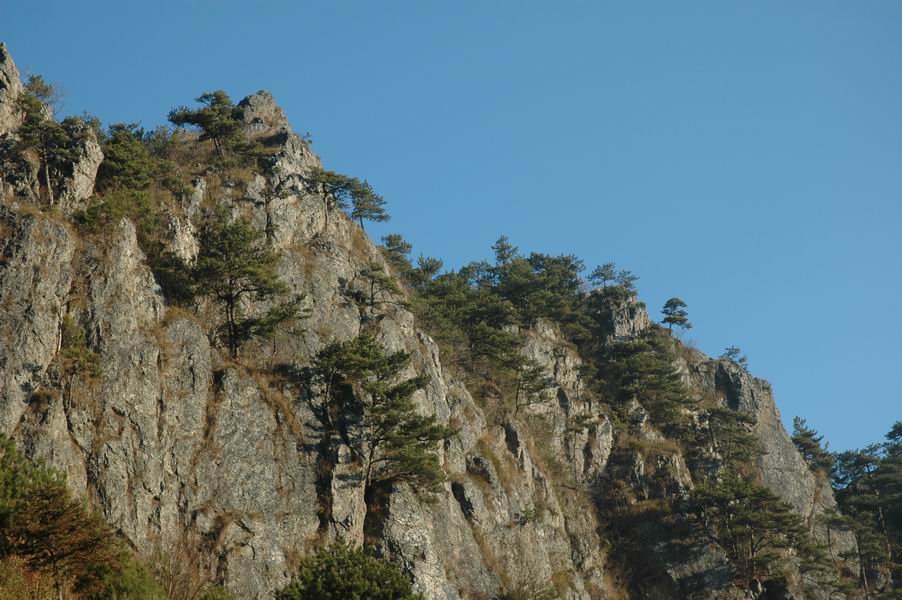 12.10-12.12清凉峰,徽行古道之旅 大陆版