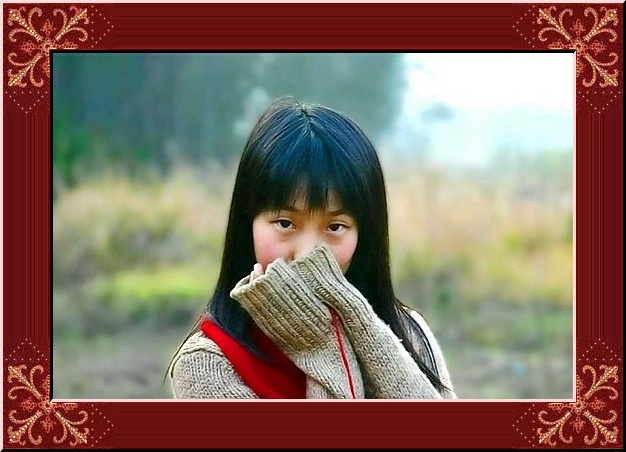 美女与野兽