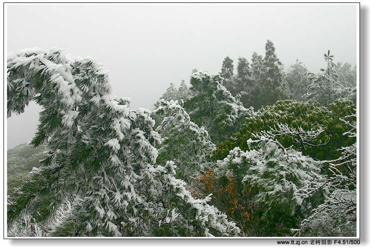 12月25日华顶冰雪世界拍摄收获