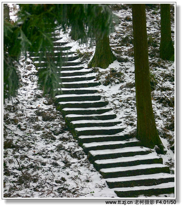 12月25日华顶冰雪世界拍摄收获