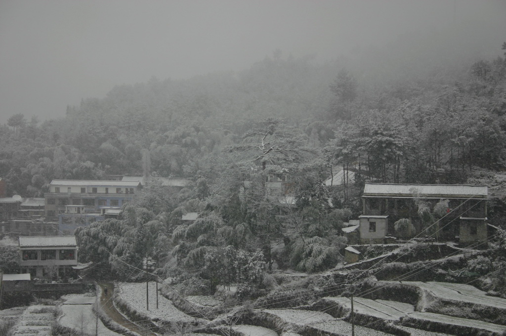 冒着生命危险拍的雪中即景