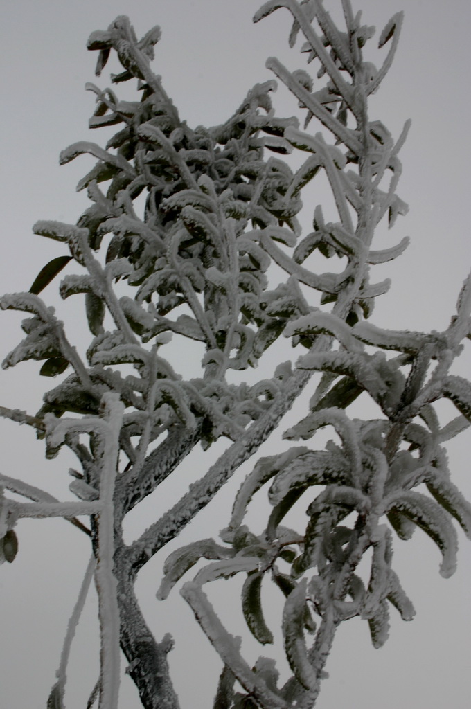 29日天北线之冰雪世界