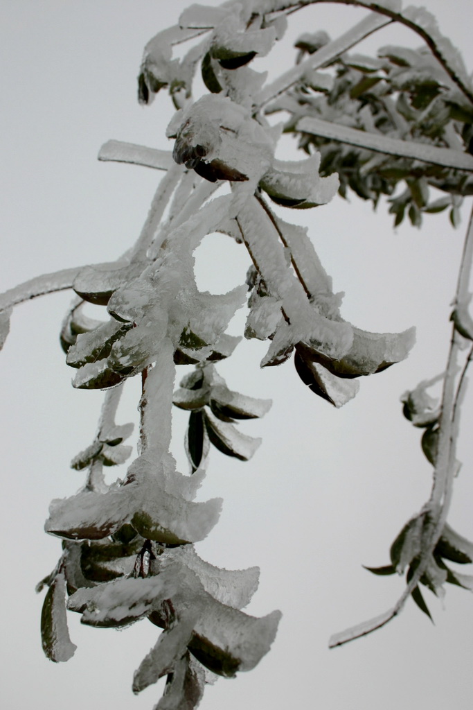 29日天北线之冰雪世界