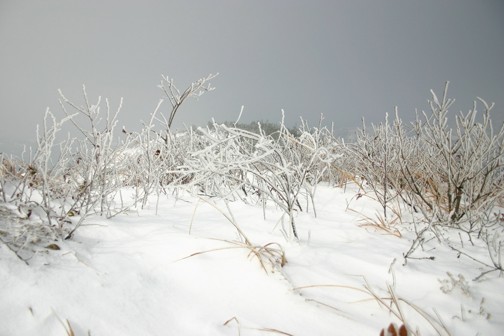 29日天北线之冰雪世界