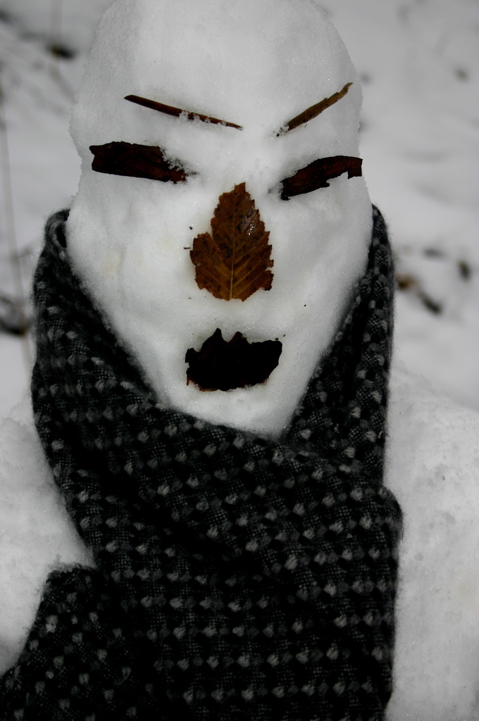 29日天北线冰雪世界