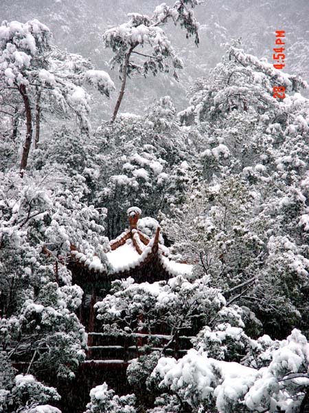 雪融花