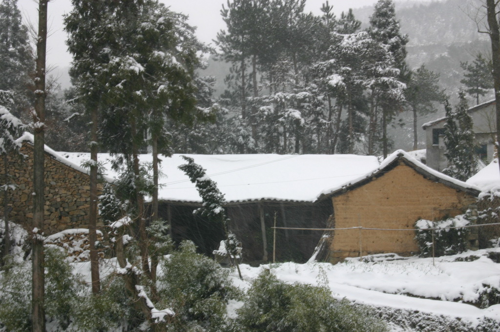 29日天北线冰雪世界
