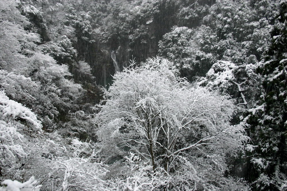 29日天北线冰雪世界