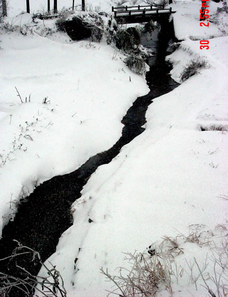 独钓寒江雪
