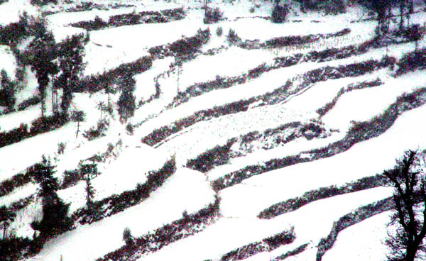 独钓寒江雪