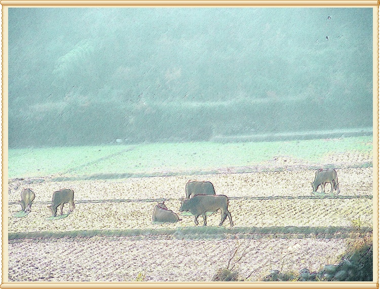 油画效果