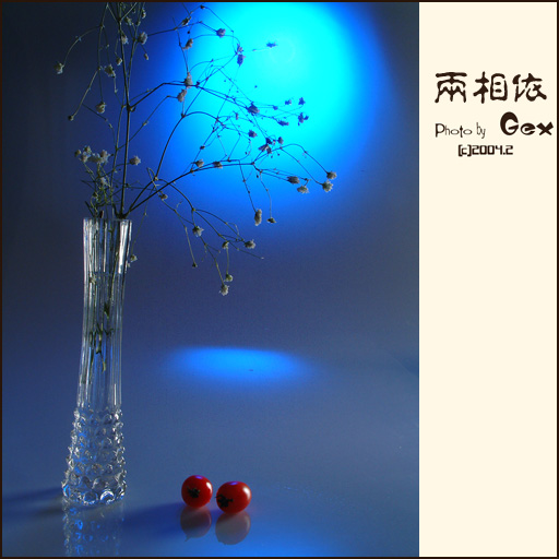 情人节快乐!