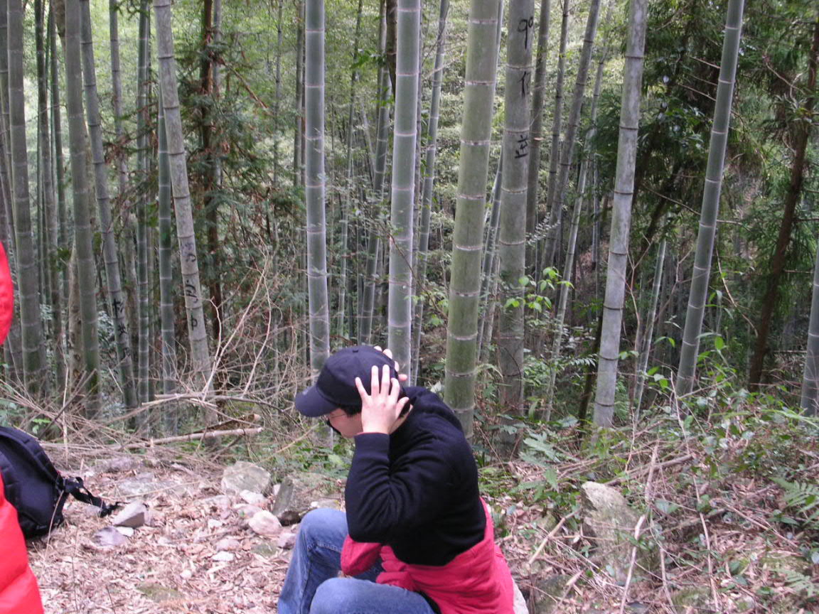[贴图]有关黄岩之行的都到这个贴子里来好吗！方便大家交流讨论！