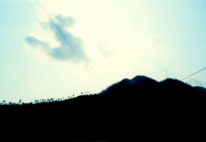 在荒野成长/南山一日